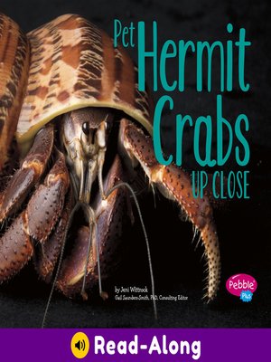 cover image of Pet Hermit Crabs Up Close